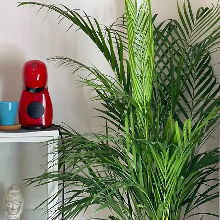 Appartement Cozy Centr Torremolinos